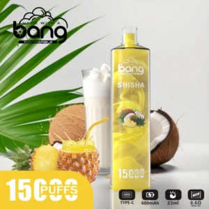 Bang 15000 Puffs 15k Shisha Vape eldobható elektronikus cigaretta olcsó nagykereskedelmi ingyenes szállítás