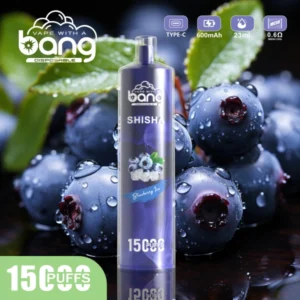 Bang 15000 Puffs 15k Shisha Vape Cigarro Eletrónico Descartável Barato Atacado Frete Grátis