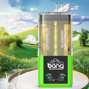 PuffWild Bang 50000 Puffs Vape Desechable