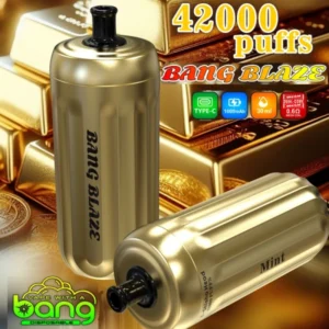 PuffWild Bang Blaze 42000 Puffs Shisha Vape Desechable