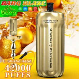 PuffWild Bang Blaze 42000 Puffs Shisha jednorázové Vape