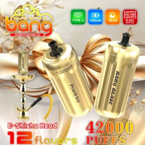 PuffWild Bang Blaze 42000 Puffs Shisha Disposable Vape