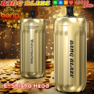 PuffWild Bang Blaze 42000 Puffs Shisha jednorázové Vape
