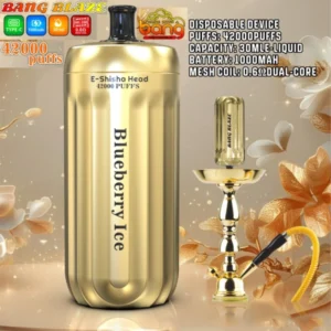 PuffWild Bang Blaze 42000 Puffs Shisha jednorázové Vape