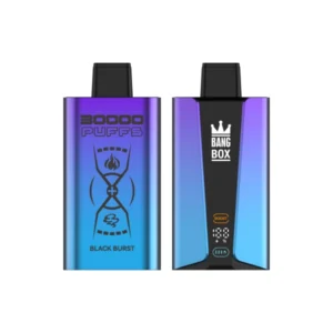 PuffWild Bang Box 30000 Puffs Disposable Vape
