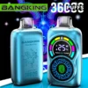 PuffWild Bang King 36000 Puffs Einweg-Vape