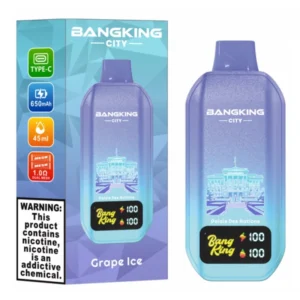 PuffWild Bang King 50000 Puffs City Vape Desechable
