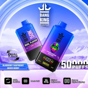 Puffwild Vape 50K Bang King 50000 Puffs