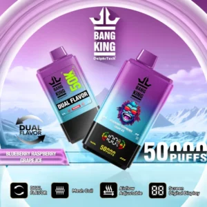 Puffwild Vape 50K Bang King 50000 Puffów