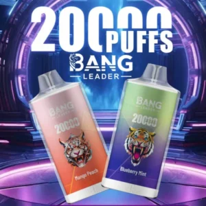 PuffWild Bang Leader 20000 boccate di vapore usa e getta