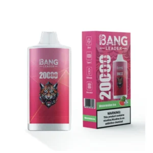 Bang Leader 20000 Puffs 20k Cheap Disposable Vape Shop Online Free Delivery 10 PuffWild Bang Leader 20000 Puffs Vape jetable