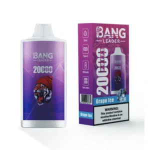 PuffWild Bang Leader 20000 Puffs Einweg-Vape
