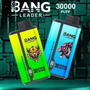 PuffWild Bang Leader 30000 Puffs Vape Desechable