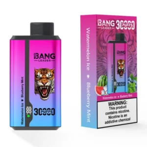 PuffWild Bang Leader 30000 boccate di vapore monouso