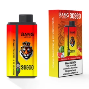 PuffWild Bang Leader 30000 Puffs Wegwerp Vape