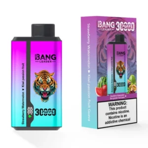 PuffWild Bang Leader 30000 Puffs Wegwerp Vape