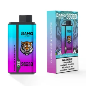 PuffWild Bang Leader 30000 Puffs Wegwerp Vape