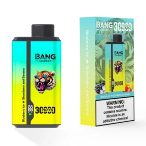 PuffWild Bang Leader 30000 Puffs Wegwerp Vape