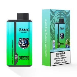 PuffWild Bang Leader 30000 Puffs Wegwerp Vape