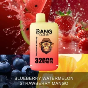 PuffWild Bang Leader 32000 Puffs Einweg-Vape