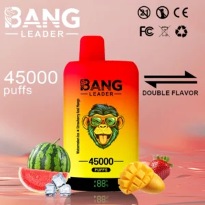 PuffWild Bang Leader 45000 bouffées Vape jetable