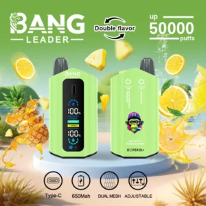 PuffWild Bang Leader 50000 Puffs Vape descartável