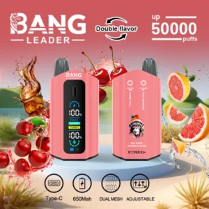 PuffWild Bang Leader 50000 Puffs Vape descartável