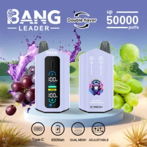 PuffWild Bang Leader 50000 Puffs Vape descartável