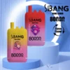 PuffWild Bang Leader 80000 Puffs Einweg-Vape