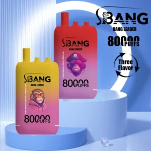 PuffWild Bang Leader 80000 Puffs Vape jetable