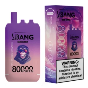 PuffWild Bang Leader 80000 Puffs Vape jetable