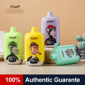 PuffWild FIHP 12000 Puffs Vape jetable