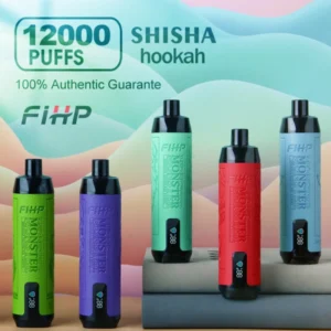 PuffWild FIHP Shisha 12000 Puffs Disposable Vape