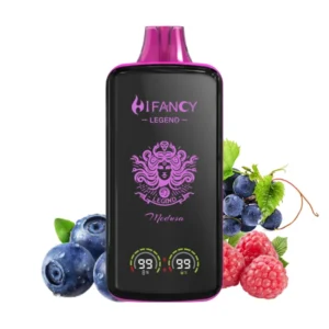 PuffWild Hifancy 20000 Puffs Vape na jedno použití