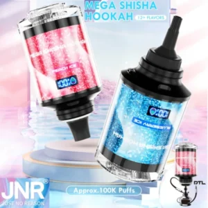 PuffWild JNR 100K Puffs Vape jetable