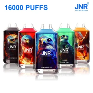 PuffWild JNR 16000 Puffs Vape jetable