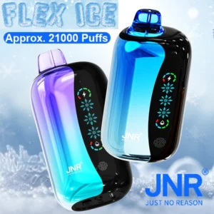 PuffWild JNR 21000 Puffs Vape jetable