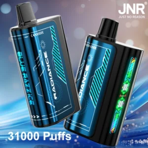PuffWild JNR 31000 Puffs Vape jetable