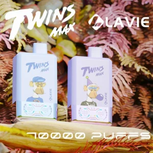 PuffWild LAVIE 70000 Puffs Vape descartável