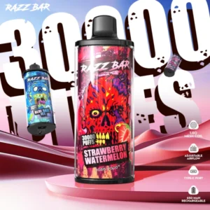 Puffwild EU Vape Razz Bar 30000 Puffs 30k