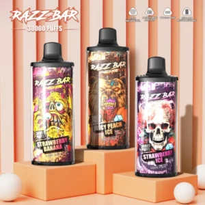 Puffwild EU Vape Razz Bar 30000 Puffs 30k