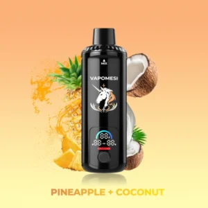 PuffWild Vapomesi Einhorn 55000 Puffs Einweg Vape