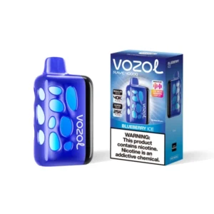 EU Warehouse Vozol Rave 40000 Puffs 40k Descartável Vape Shop Online Beat Sensing Display Frete grátis 12 PuffWild Vozol Rave 40000 Puffs Vape descartável