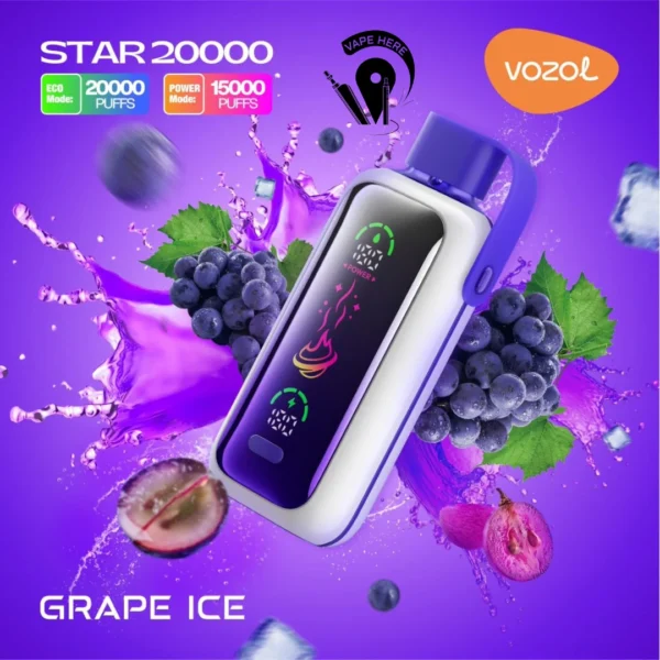 PuffWild Vozol Star 20000 Puffs Vape jetable
