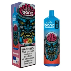 Puffwild Bang 12000 Puffs Vape na jedno použití