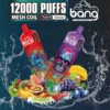 Puffwild Bang 12000 Puffs Disposable Vape
