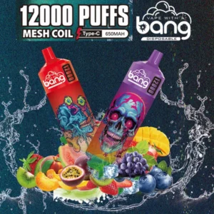 Puffwild Bang 12000 Puffs Vape jetable