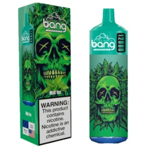 Puffwild Bang 12000 Puffs Vape descartável