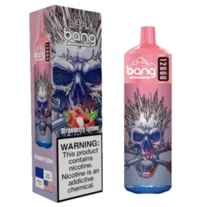 Puffwild Bang 12000 Puffs Vape na jedno použití