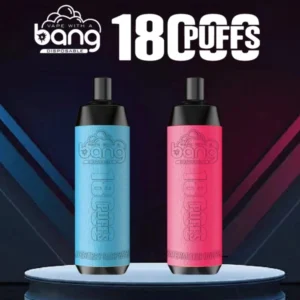 Puffwild Bang 18000 boccate di vapore monouso